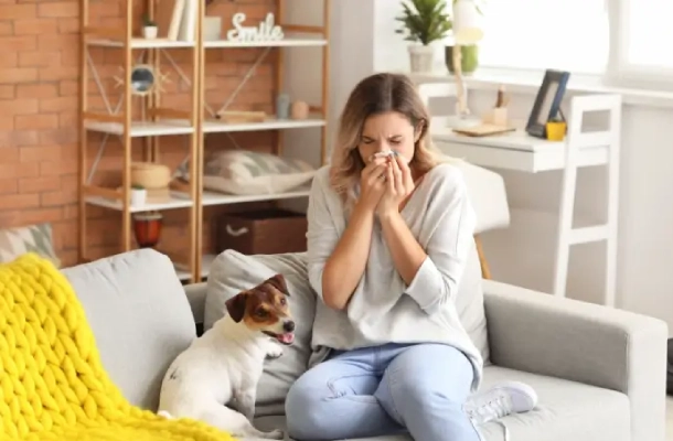 Woman sneezing while dusting window blinds.